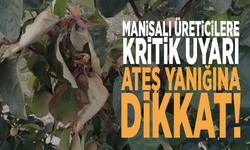 Manisalı üreticilere kritik uyarı! Ateş yanığına dikkat