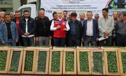 Manisa'da 1 Milyon adet fide dağıtımı başladı