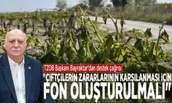 TZOB Başkanı Bayraktar'dan destek çağrısı: "Çiftçilerin zararlarının karşılanması için fon oluşturulmalı"