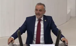 Prof. Dr. Mehmet Akalın'a uluslararası görev
