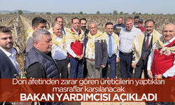 Don afetinden zarar gören üreticilerin yaptıkları masraflar karşılanacak