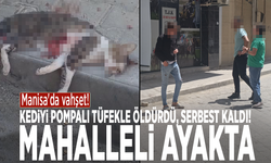 Manisa'da vahşet! Kediyi pompalı tüfekle öldürdü, serbest kaldı! Mahalleli ayakta