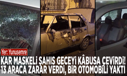 Kar maskeli şahıs geceyi kâbusa çevirdi! 13 araca zarar verdi, bir otomobili yaktı