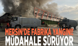 Mersin’de fabrika yangını! Müdahale sürüyor