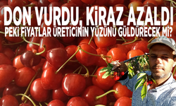 Don vurdu, kiraz azaldı… Peki fiyatlar üreticinin yüzünü güldürecek mi?