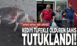 Serbest kalması tepki çekmişti: Kediyi tüfekle öldüren şahıs tutuklandı!