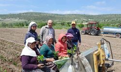 CHP Selendi'de tarlada çalışan anneleri unutmadı