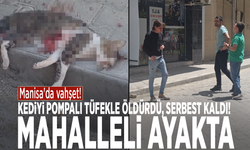 Manisa'da vahşet! Kediyi pompalı tüfekle öldürdü, serbest kaldı! Mahalleli ayakta