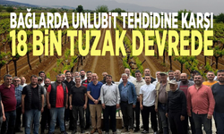 Bağlarda Unlubit tehdidine karşı 18 bin tuzak devrede