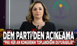 DEM Parti'den açıklama: "PKK her an kongrenin toplandığını duyurabilir"