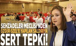 Şehzadeler Meclisi’nden Özgür Özel’e yapılan saldırıya sert tepki!
