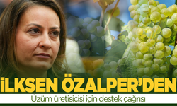 CHP'li Özalper'den üzüm üreticisine destek çağrısı