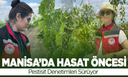 Manisa’da meyve bahçelerinde pestisit denetimleri sürüyor