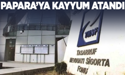 Papara'ya kayyum atandı