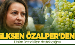 CHP'li Özalper'den üzüm üreticisine destek çağrısı
