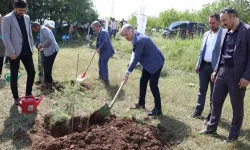 Bursa İnegöl’de Çevre Haftasında 150 fidan toprakla buluştu