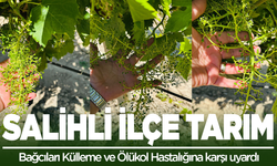 Salihli ilçe Tarım Müdürlüğü, Bağcıları Külleme ve Ölükol Hastalığına karşı uyardı