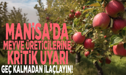 Manisa’da meyve üreticilerine kritik uyarı: Geç kalmadan ilaçlayın!