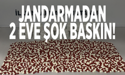 Jandarmadan 2 eve şok baskın!