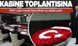 Kabine Toplantısı'na Devlet Bahçeli'den ay yıldızlı çiçek