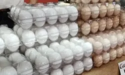 Destekleme ve Fiyat İstikrar Fonu’nda değişiklik yapıldı