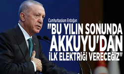 Cumhurbaşkanı Erdoğan: "Bu yılın sonunda Akkuyu'dan ilk elektriği vereceğiz"