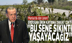 Manisa'da don zararı: Erdoğan ürün kaybına dikkat çekti: "Bu sene sıkıntı yaşayacağız"