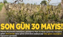 Manisa'da zirai don desteğinden yararlanmak için son gün 30 Mayıs!