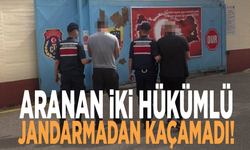Aranan iki hükümlü Jandarmadan kaçamadı!