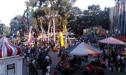164. Çam Festivali 19 Mayıs’a Kadar Uzatıldı