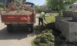 İzmir Güzelbahçe'de yaz temizliği