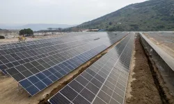 İzmir’in doğal yaşamı güvenceye alınıyor