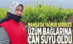 Manisa’da yağmur bereketi: Üzüm bağlarına can suyu oldu