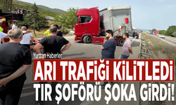 Arı trafiği kilitledi: TIR şoförü şoka girdi!