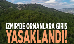 İzmir’de ormanlara giriş yasaklandı!
