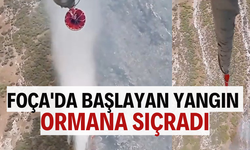 Foça'da başlayan yangın ormana sıçradı