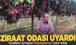 Sarıgöl Ziraat Odası’ndan Uyarı: Kurallara Uymayan Dayıbaşlarına Ceza Yolda