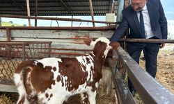 Selendili Üreticilere “Tek Dam Projesi” Anlatıldı