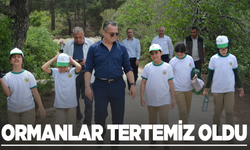 Soma'da ormanlar tertemiz oldu