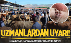 Kırım Kongo Kanamalı Ateşi (KKKA) Riski Artıyor: Uzmanlardan Önemli Uyarılar