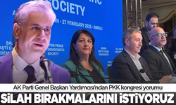 AK Parti Genel Başkan Yardımcısı'ndan PKK kongresi yorumu: Silah bırakmalarını istiyoruz