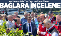 Saruhanlı’da Zirai Dondan Zarar Gören Bağlarda İnceleme