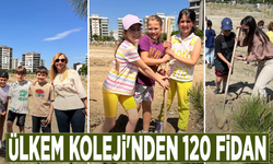 Ülkem Koleji'nden 120 fidan