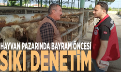 Hayvan pazarında bayram öncesi sıkı denetim