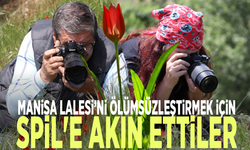 Manisa Lalesi’ni ölümsüzleştirmek için Spil'e akın ettiler