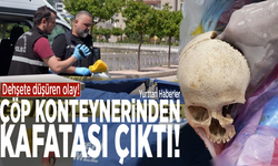 Dehşete düşüren olay! Çöp konteynerinden kafatası çıktı
