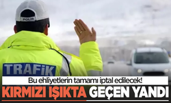 Kırmızı ışıkta geçen, aracından inen yandı | Cuma günü meclise gelecek!