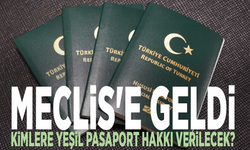 Meclis'e geldi: Kimlere Yeşil Pasaport hakkı verilecek?