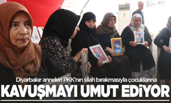 Diyarbakır anneleri PKK’nın silah bırakmasıyla çocuklarına kavuşmayı umut ediyor