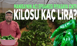 Manisa’nın acı efsanesi piyasaya çıktı: Kilosu kaç lira?
